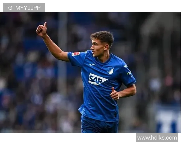 拜仁与霍芬海姆比赛因意外情况中断球迷期待重赛时刻