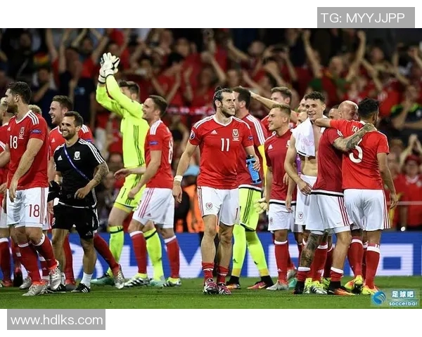 法国与威尔士全场比赛精彩回顾及精彩瞬间分析