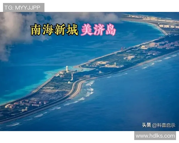 赖斯在国际关系中的新角色与影响力分析及其对未来局势的启示