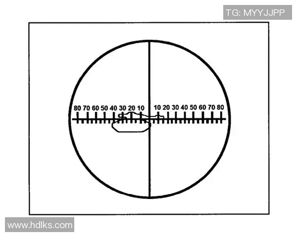 广州篮球队战术分析与表现评估全景解读