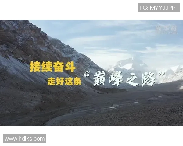 深圳排球队的奋进之路:亚运会背后的拼搏与荣耀 深圳排球队的奋进之路:亚运会背后的拼搏与荣耀