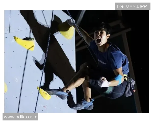 北京攀岩队状态分析与表现评估的全面数据研究与解读MBA