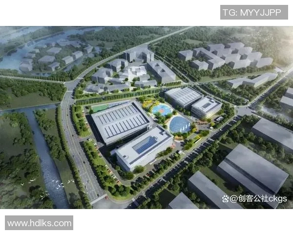 武汉羽毛球队整体表现分析：压制对手与失误的双重影响探讨